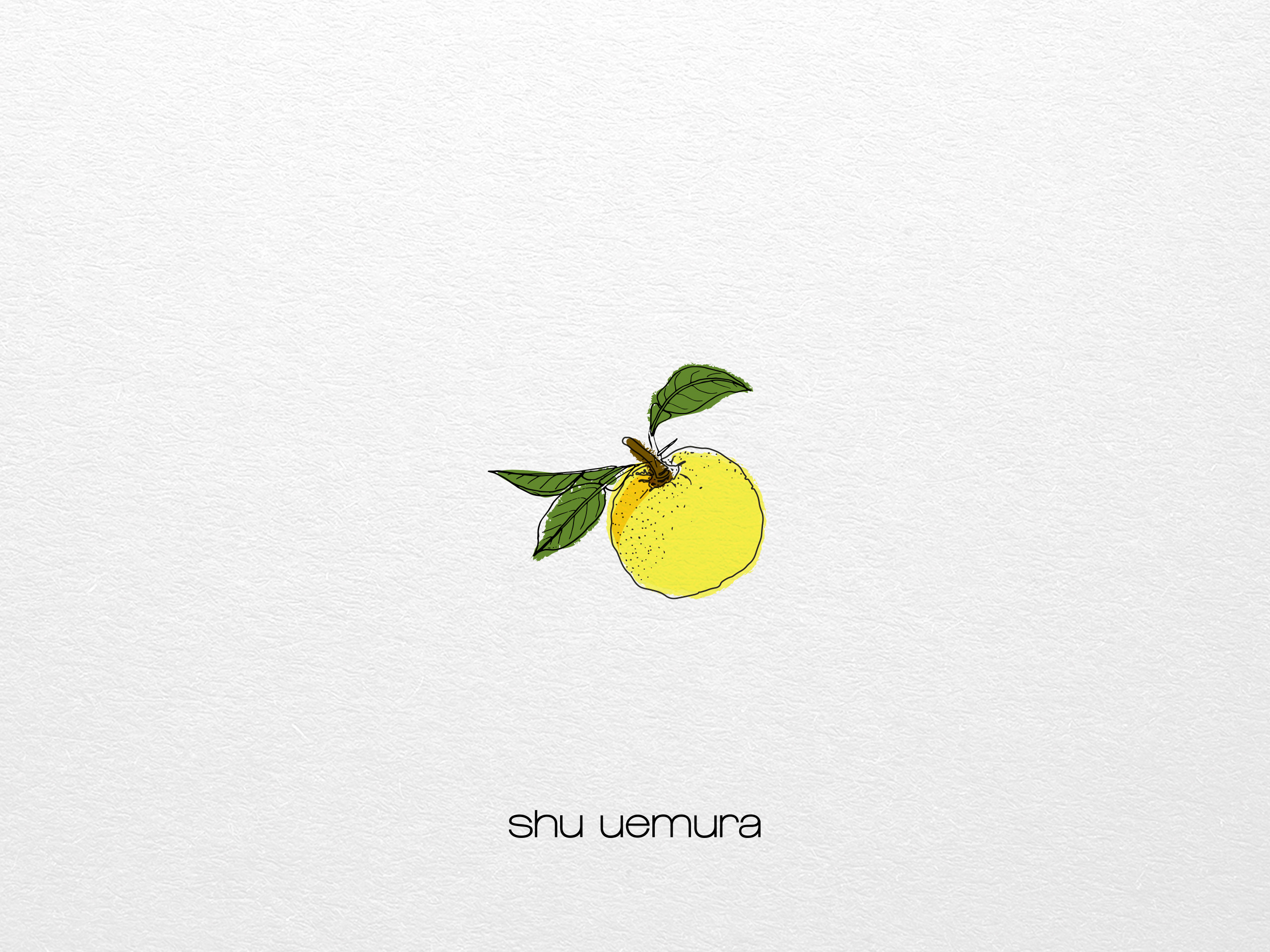 Shu Uemura - Anissa El Ghazi
