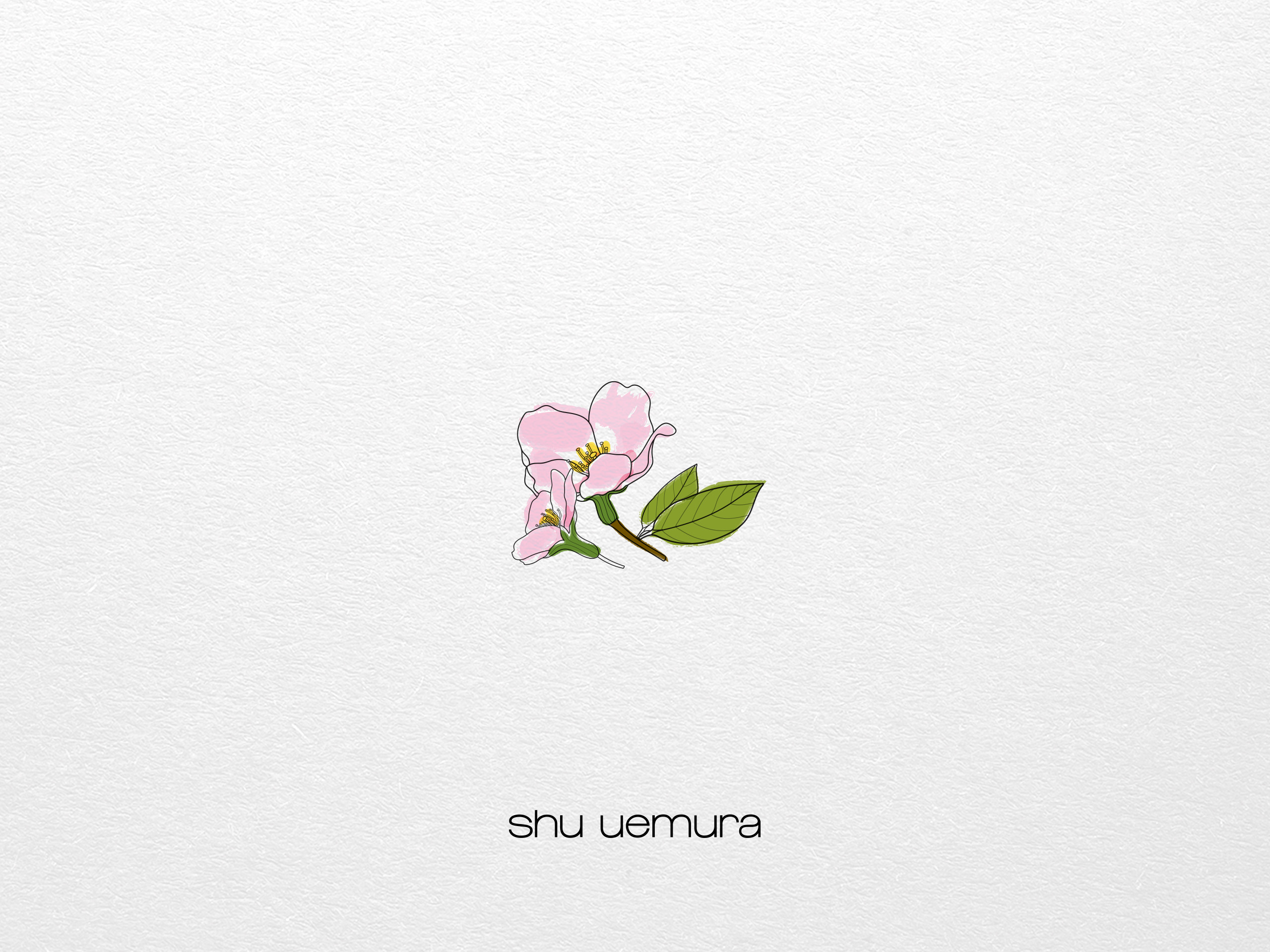 Shu Uemura - Anissa El Ghazi