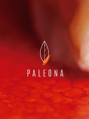 Anissa El Ghazi